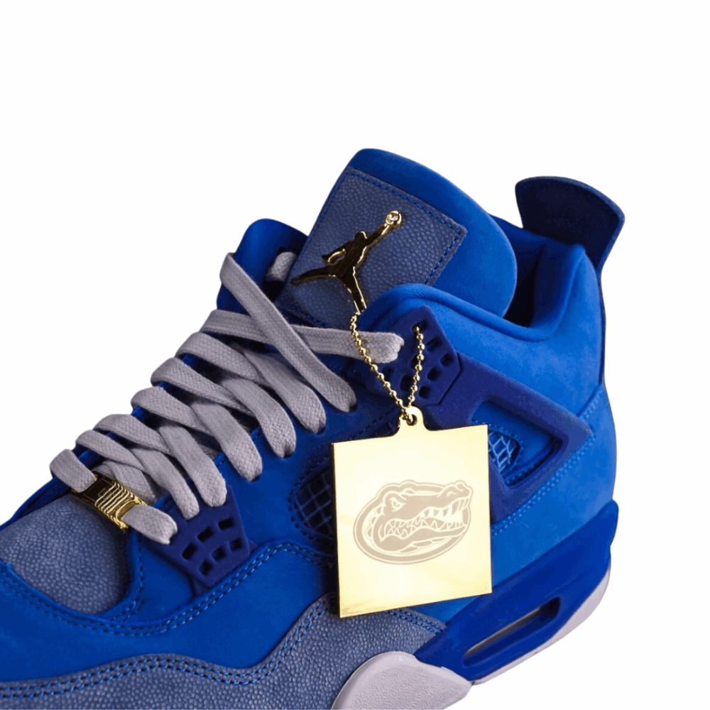 Nike Air Jordan 4 PE x Florida Gators (2025) - Image 3