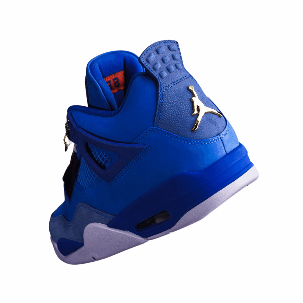 Nike Air Jordan 4 PE x Florida Gators (2025) - Image 2